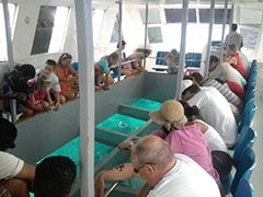 Acvariu și parc acvatic - titanic - (titanik) descriere și fotografii
