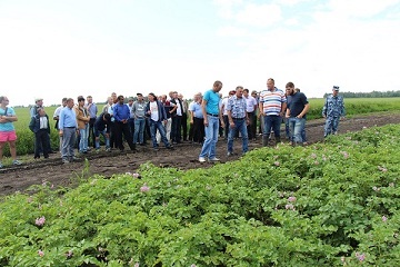 Fermierul Altai a demonstrat cum produce semințele de cartofi cu reproduceri mai mari