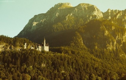 Arhitectura Castelului Neyshwanstein, stilul erei online