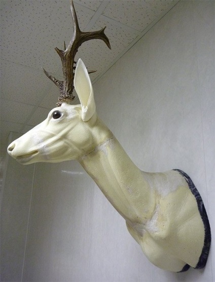 Blog vânător-pescarii și maestru-taxidermist Yuri Yeltsov