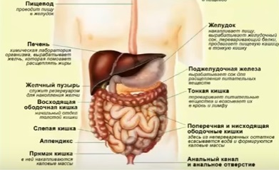 Durerea în partea stângă sub coaste despre cauzele și pericolele - sunt tratate cu