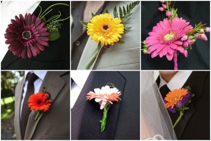 Gerbera boutonniere - a menyasszony és a vőlegény lehetőségei, saját kezüket, fényképeket és videókat készítenek