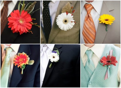 Gerbera boutonniere - a menyasszony és a vőlegény lehetőségei, saját kezüket, fényképeket és videókat készítenek