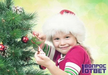 Mit kell kérni egy új évet a Santa Claus listáján az ötletek, fotók ajándékok és videók a legjobb újévi
