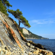 Ce să vezi în Gelendzhik, ce să faci în Gelendzhik