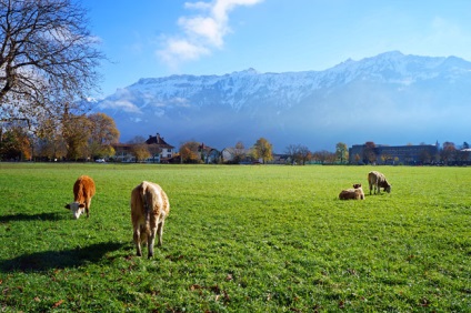 Ce să vezi în Elveția, Interlaken, știu în străinătate