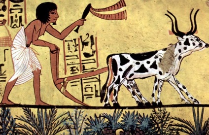 Amit nem tudtok az ókori Egyiptomról, kykyryzo