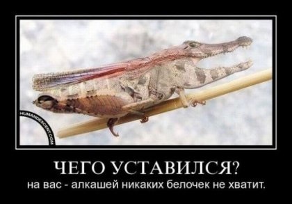Demotivatorok képekben (táblázat) Demotivátorok képekben