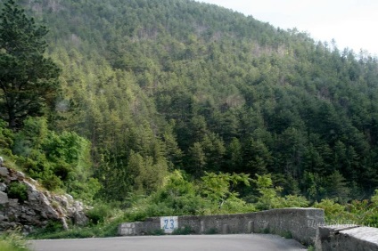 A hegyhez vezető út okos, ahonnan Montenegró, a nemzeti park felé vezető út Negus falán keresztül