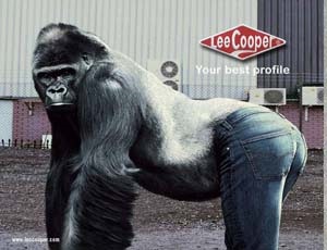 Jeans lee cooper (fie Cooper) - o simbioză a clasicilor și a tendințelor modei