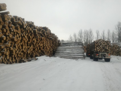 Exportul de cherestea rasinoase din Rusia, livrari catre Europa