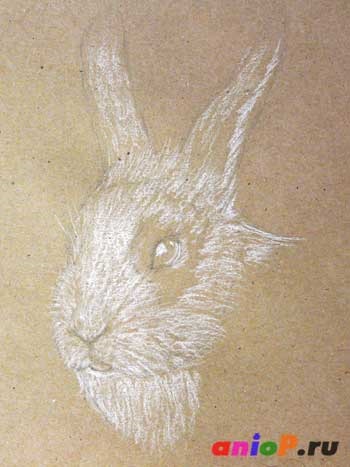 Schița unui cap de iepure - desenează lecții cu creioane și pasteluri