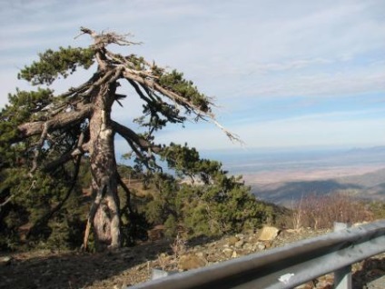 Există viață în Cipru - o excursie la Troodos