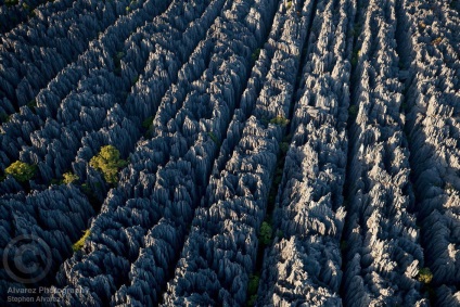 Merită să vedeți cu ochii voștri! Piatra de pădure din piatră, știri de fotografie