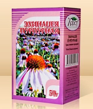 Echinacea pentru imunitate, utilizarea echinaceei, o imunitate crescută Echinacea