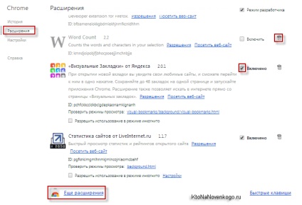 Google Chrome