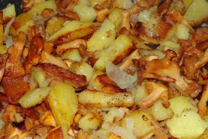 Ciuperci ciorchinele unde și când să se colecteze chanterelles, proprietăți utile de chanterelles, chanterelles prajit cu cartofi