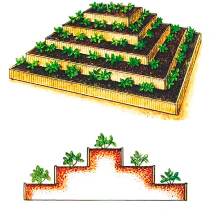 Грядка піраміда для полуниці розміри, фото і креслення