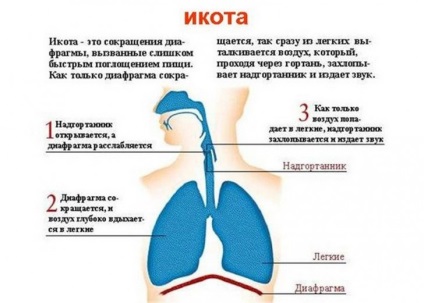 Csípés az újszülöttekben, mit kell tenni (étkezés után és más helyzetekben)