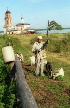 Istoria bazilului