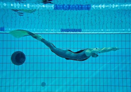 Mi a leghosszabb olimpiai úszás? A világ összehasonlító elemzése