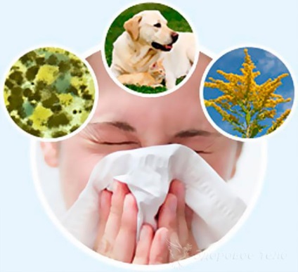 Cum să scapi de alergii și de astm - opiniile oamenilor de știință - sănătatea