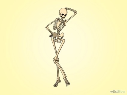 Hogyan rajzoljunk le egy emberi csontvázat