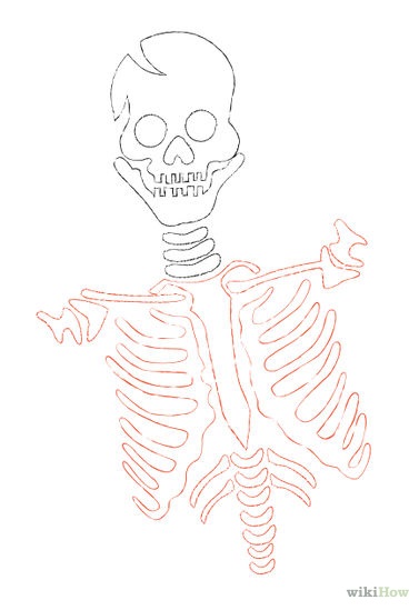 Hogyan rajzoljunk egy emberi csontvázat