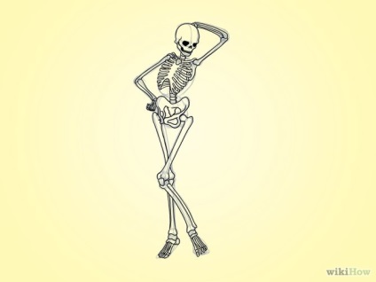 Hogyan rajzoljunk le egy emberi csontvázat