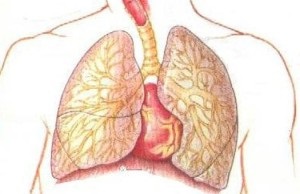 Cum să cureți plămânii de nicotină, gudron și praf, un ghid al vieții
