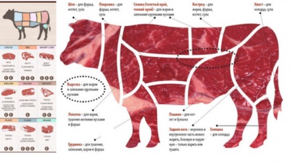 Cum să identificați carnea de calitate și să evaluați prospețimea acesteia