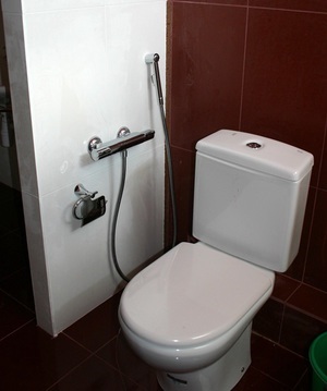Melyik higiéniai zuhany a legjobb a WC-vel keverőberendezéssel, típusokkal, beépítéssel