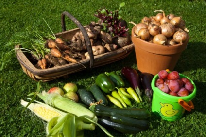 Cum să recoltați și să conservați legumele în mod corespunzător