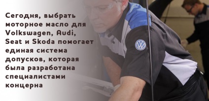 Cum sa alegeti motorul potrivit pentru volkswagen, audi, scaun si skoda