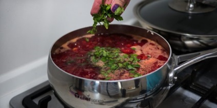 Cum să gătești borscht cu pui