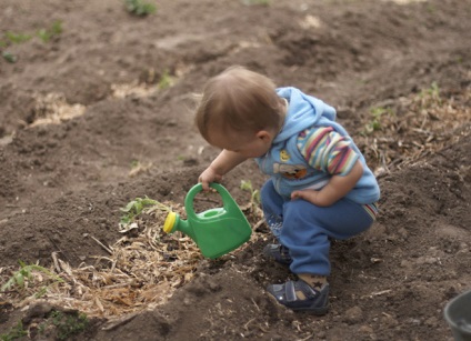 Hogyan csepegtetni a gyermeket a kertben a munka szeretete - a nők titkai
