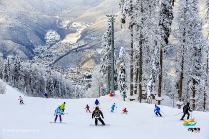 Cum să-ți petrec timpul într-un iubitor de porci de alpinism - geografia mea