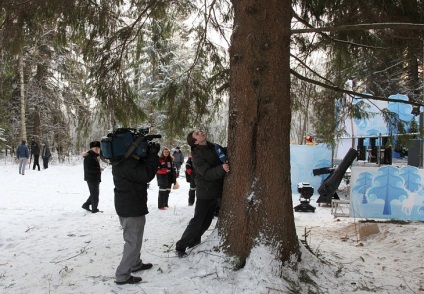 Cum sa taie copacul kremlinului, stiri de fotografie