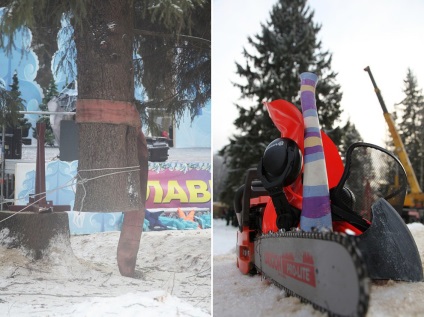 Cum sa taie copacul kremlinului, stiri de fotografie