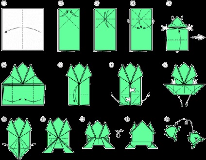 Cum să faci o broască dintr-o schemă de hârtie origami, vizionați lecție gratuită online, formare video