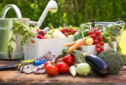 Cum să păstreze vitaminele de conservare a legumelor