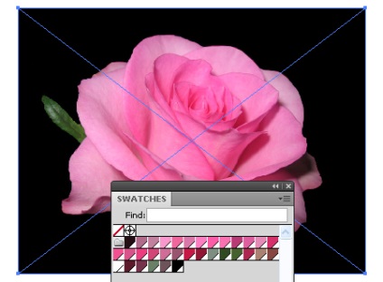Cum într-un minut pentru a crea un grup de culori în panoul de swatches Adobe Illustrator, utilizând culori