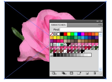 Cum într-un minut pentru a crea un grup de culori în panoul de swatches Adobe Illustrator, utilizând culori