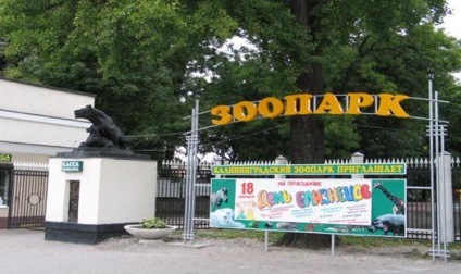 Zoo din Kaliningrad