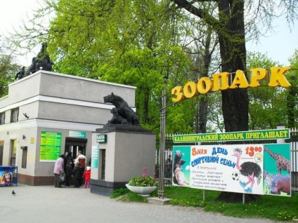 Zoo Kaliningrad, Kaliningrad