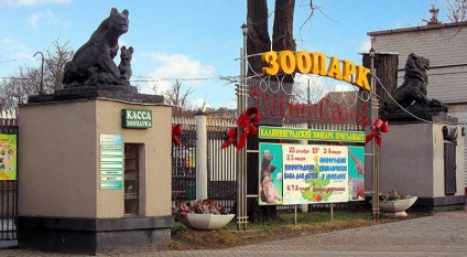 Zoo din Kaliningrad, kdgid