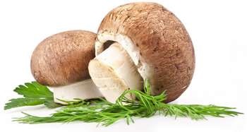 Conținutul caloric de ciuperci la 100 de grame