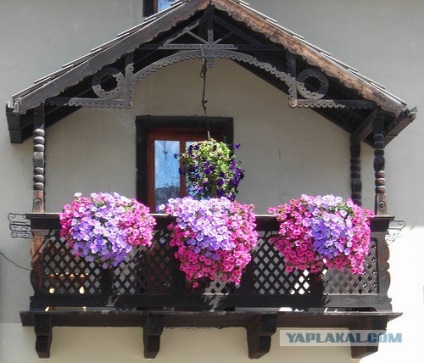 Ce vis face balconul de a interpreta astfel de vise de către psihologi diferiți