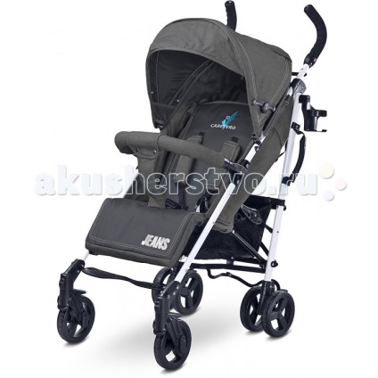 Cărucioare pentru cărucioare, indigo gesslein bertoni (lorelli) caretero easywalker kidscool