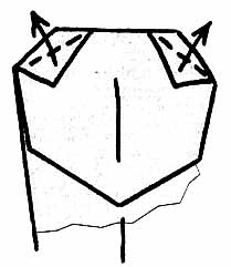 Macska toshi takahama, origami